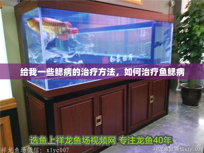 給我一些鰓病的治療方法，如何治療魚鰓病