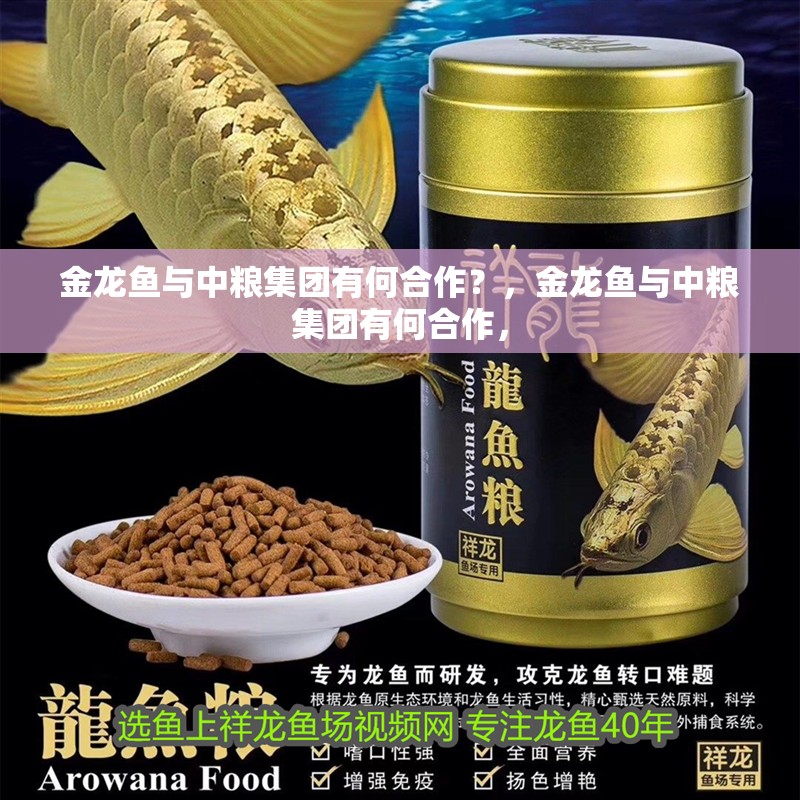 金龍魚與中糧集團有何合作？，金龍魚與中糧集團有何合作，