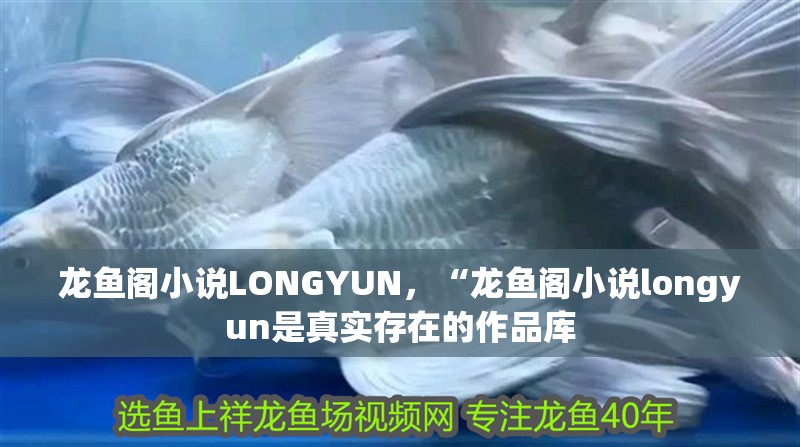 龍魚閣小說LONGYUN，“龍魚閣小說longyun是真實存在的作品庫