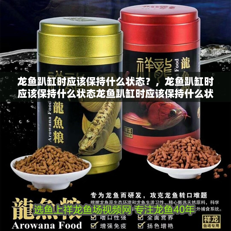 龍魚趴缸時應(yīng)該保持什么狀態(tài)？，龍魚趴缸時應(yīng)該保持什么狀態(tài)龍魚趴缸時應(yīng)該保持什么狀態(tài)