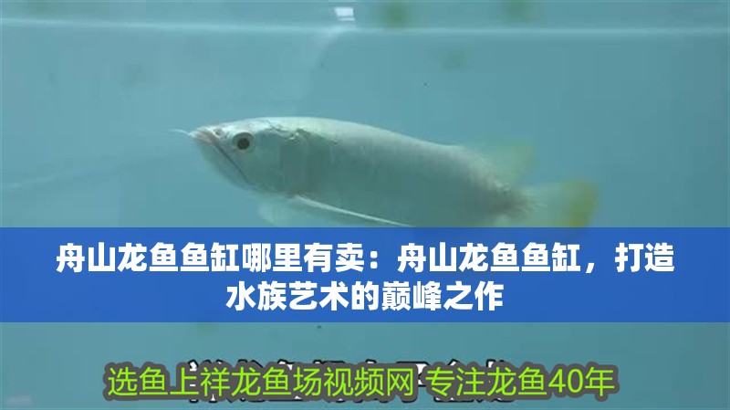 舟山龍魚魚缸哪里有賣：舟山龍魚魚缸，打造水族藝術(shù)的巔峰之作