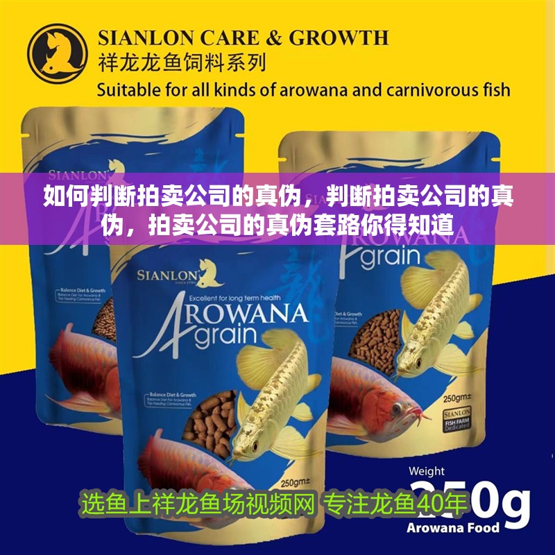 如何判斷拍賣公司的真偽，判斷拍賣公司的真偽，拍賣公司的真偽套路你得知道