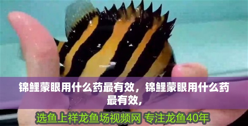 錦鯉蒙眼用什么藥最有效，錦鯉蒙眼用什么藥最有效,