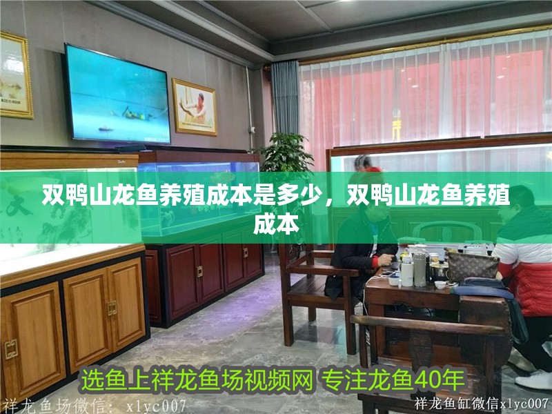 雙鴨山龍魚養殖成本是多少，雙鴨山龍魚養殖成本