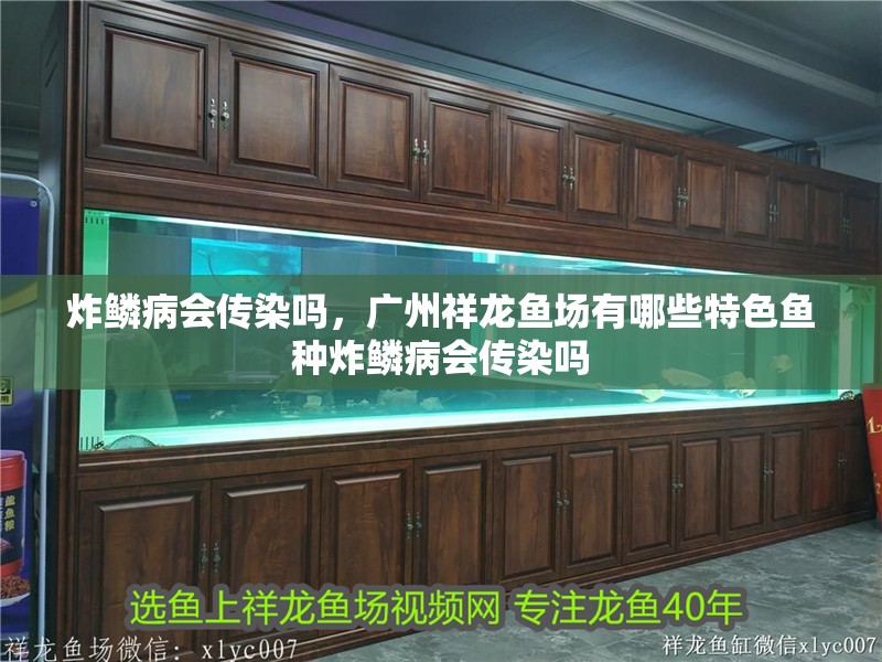 炸鱗病會傳染嗎，廣州祥龍魚場有哪些特色魚種炸鱗病會傳染嗎