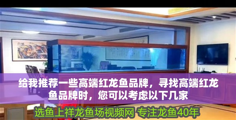 給我推薦一些高端紅龍魚品牌，尋找高端紅龍魚品牌時(shí)，您可以考慮以下幾家