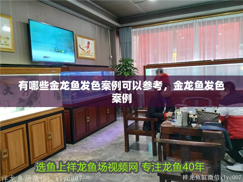 有哪些金龍魚發色案例可以參考，金龍魚發色案例