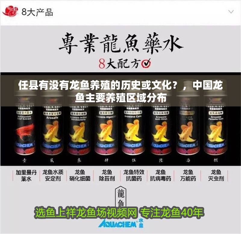 任縣有沒有龍魚養(yǎng)殖的歷史或文化？，中國龍魚主要養(yǎng)殖區(qū)域分布