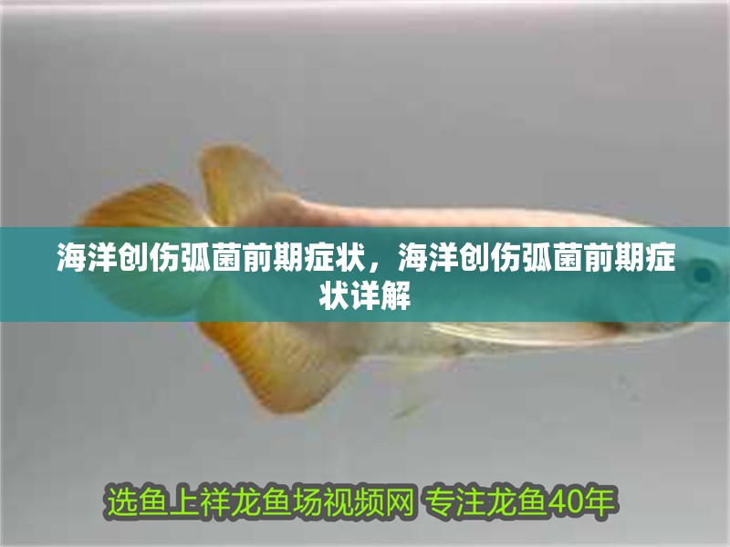 海洋創傷弧菌前期癥狀，海洋創傷弧菌前期癥狀詳解