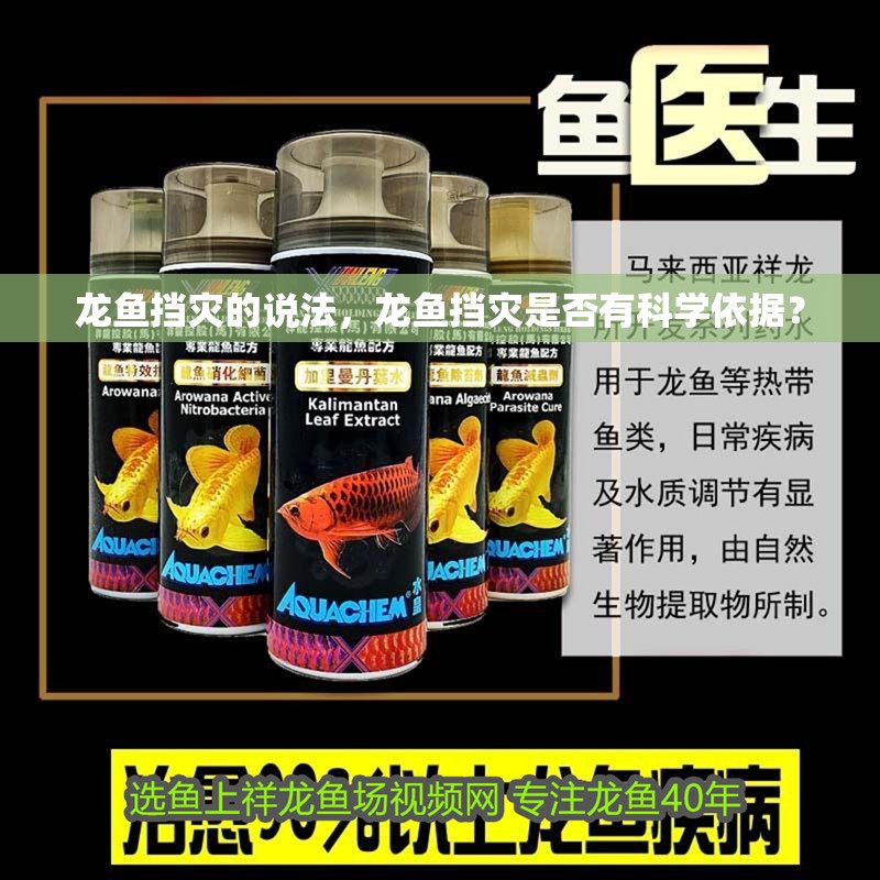 龍魚擋災的說法，龍魚擋災是否有科學依據？