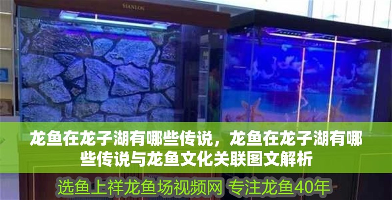 龍魚在龍子湖有哪些傳說，龍魚在龍子湖有哪些傳說與龍魚文化關聯圖文解析