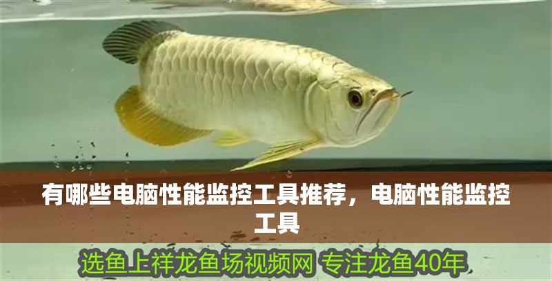 有哪些電腦性能監控工具推薦，電腦性能監控工具