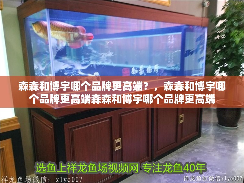 森森和博宇哪個品牌更高端？，森森和博宇哪個品牌更高端森森和博宇哪個品牌更高端