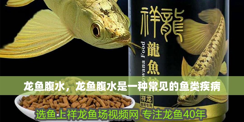 龍魚腹水，龍魚腹水是一種常見的魚類疾病