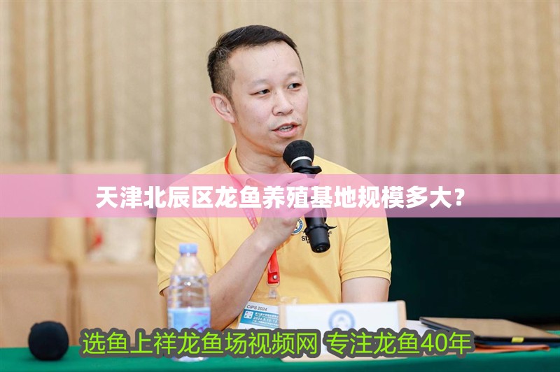天津北辰區龍魚養殖基地規模多大？