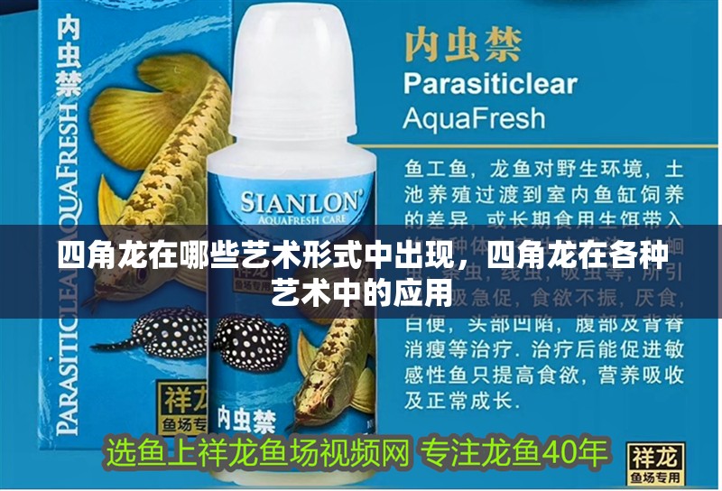 四角龍在哪些藝術形式中出現，四角龍在各種藝術中的應用