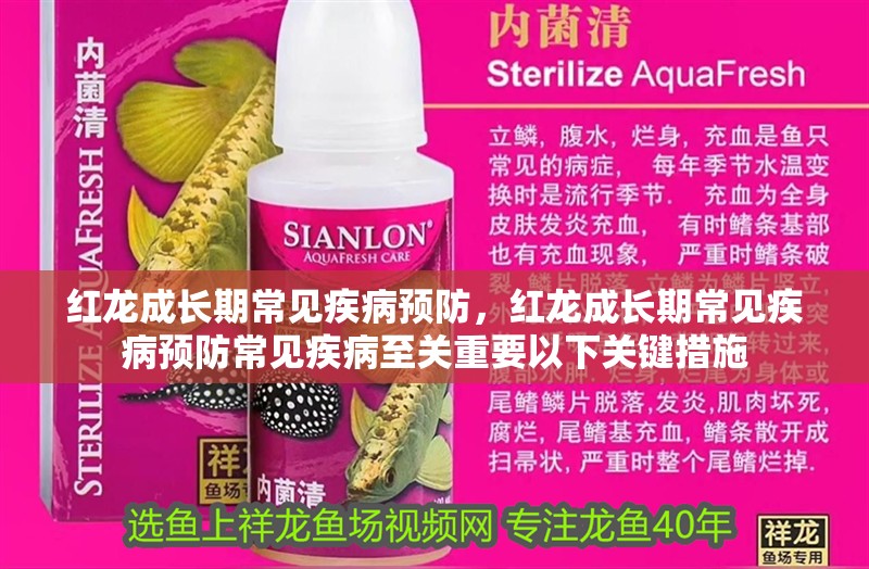 紅龍成長期常見疾病預(yù)防，紅龍成長期常見疾病預(yù)防常見疾病至關(guān)重要以下關(guān)鍵措施