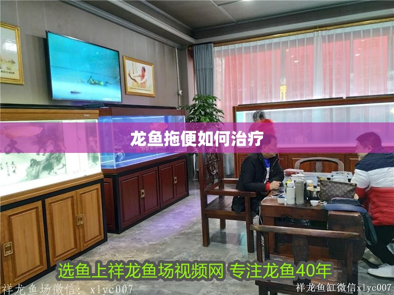 龍魚拖便如何治療