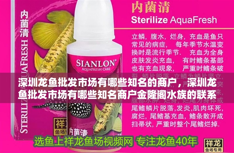 深圳龍魚批發市場有哪些知名的商戶，深圳龍魚批發市場有哪些知名商戶金隆閣水族的聯系方式