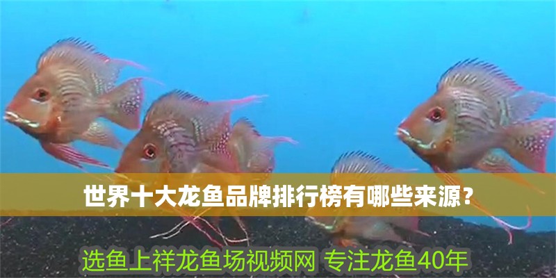 世界十大龍魚品牌排行榜有哪些來源？