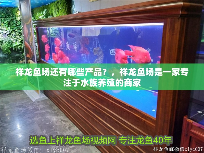祥龍魚場(chǎng)還有哪些產(chǎn)品？，祥龍魚場(chǎng)是一家專注于水族養(yǎng)殖的商家