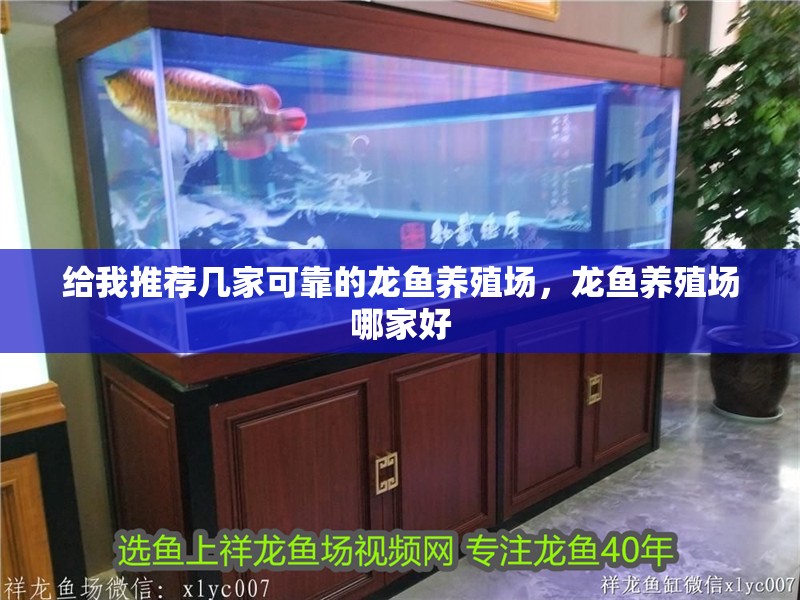 給我推薦幾家可靠的龍魚養(yǎng)殖場，龍魚養(yǎng)殖場哪家好