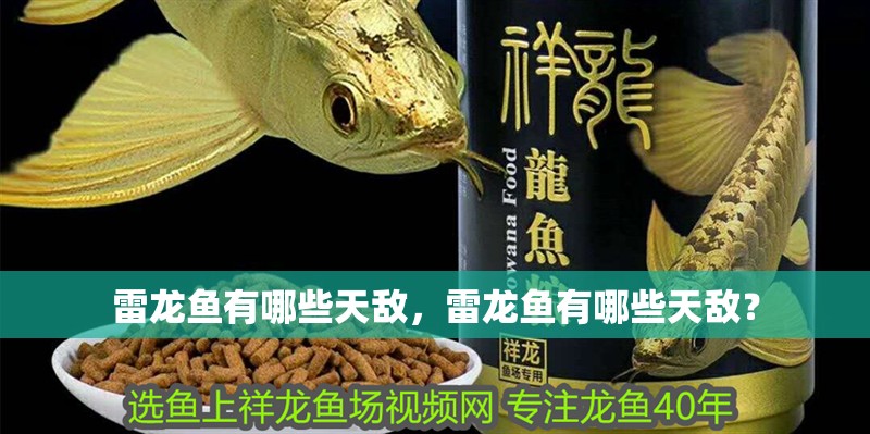雷龍魚有哪些天敵，雷龍魚有哪些天敵？