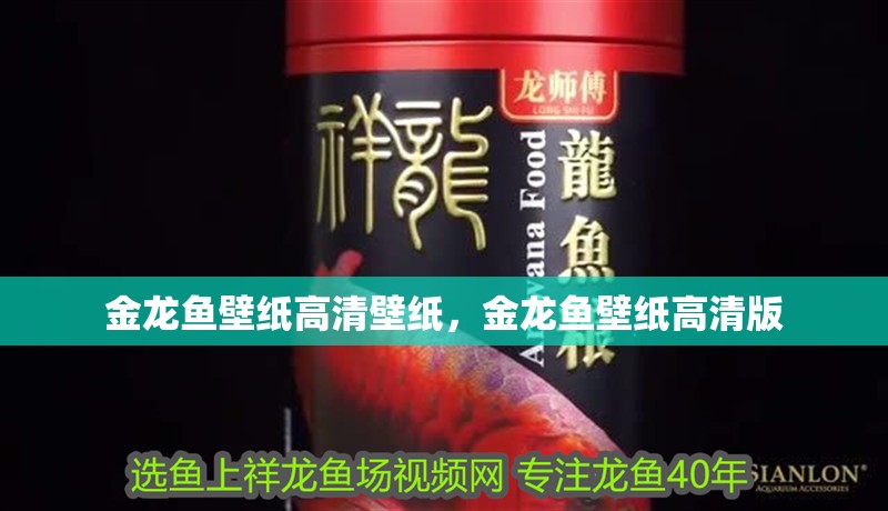 金龍魚壁紙高清壁紙，金龍魚壁紙高清版