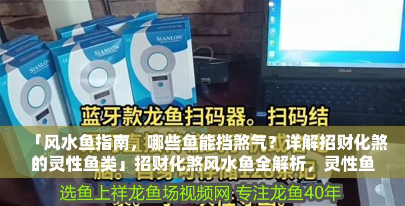 「風水魚指南，哪些魚能擋煞氣？詳解招財化煞的靈性魚類」招財化煞風水魚全解析，靈性魚類擋煞氣指南
