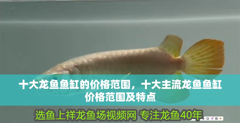 十大龍魚魚缸的價格范圍，十大主流龍魚魚缸價格范圍及特點