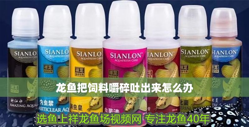 龍魚把飼料嚼碎吐出來怎么辦