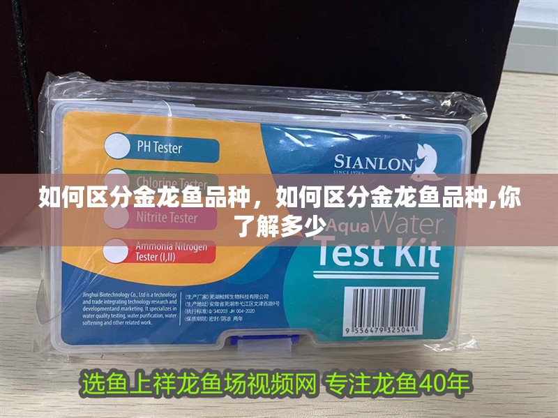 如何區分金龍魚品種，如何區分金龍魚品種,你了解多少