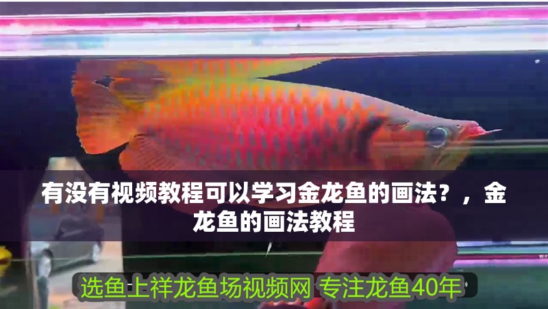有沒有視頻教程可以學(xué)習(xí)金龍魚的畫法？，金龍魚的畫法教程