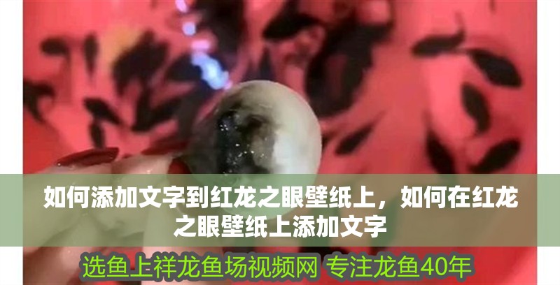 如何添加文字到紅龍之眼壁紙上，如何在紅龍之眼壁紙上添加文字