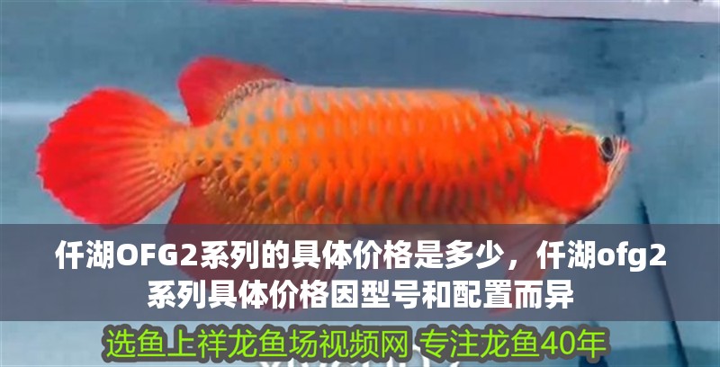 仟湖OFG2系列的具體價格是多少，仟湖ofg2系列具體價格因型號和配置而異