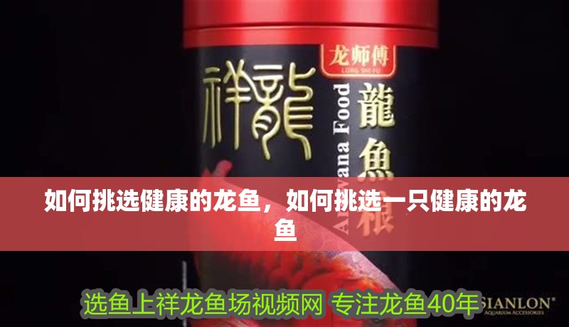 如何挑選健康的龍魚,如何挑選一只健康的龍魚