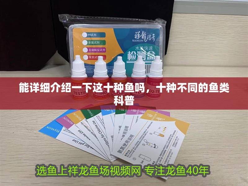 能詳細(xì)介紹一下這十種魚嗎,十種不同的魚類科普