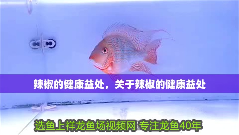 辣椒的健康益處，關于辣椒的健康益處