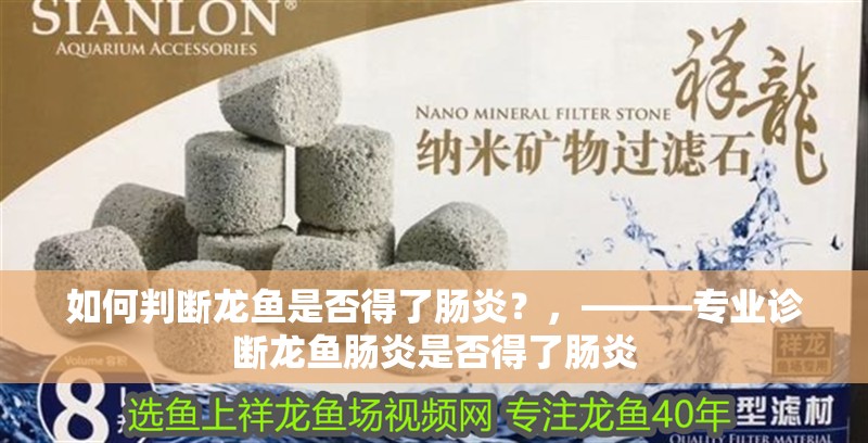 如何判斷龍魚是否得了腸炎？，———專業(yè)診斷龍魚腸炎是否得了腸炎
