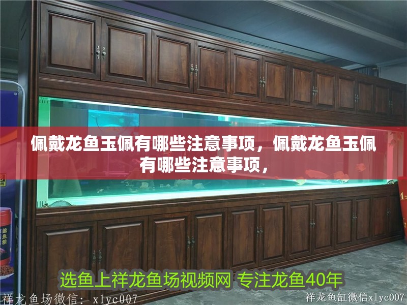 佩戴龍魚玉佩有哪些注意事項(xiàng)，佩戴龍魚玉佩有哪些注意事項(xiàng)，