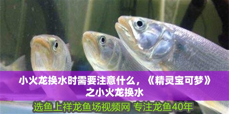 小火龍換水時需要注意什么，《精靈寶可夢》之小火龍換水