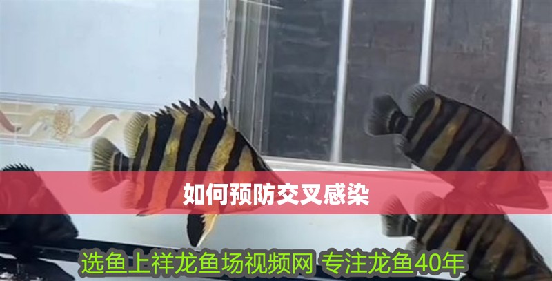 如何預防交叉感染