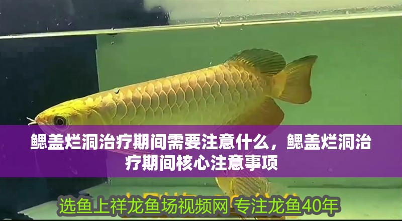 鰓蓋爛洞治療期間需要注意什么，鰓蓋爛洞治療期間核心注意事項(xiàng)