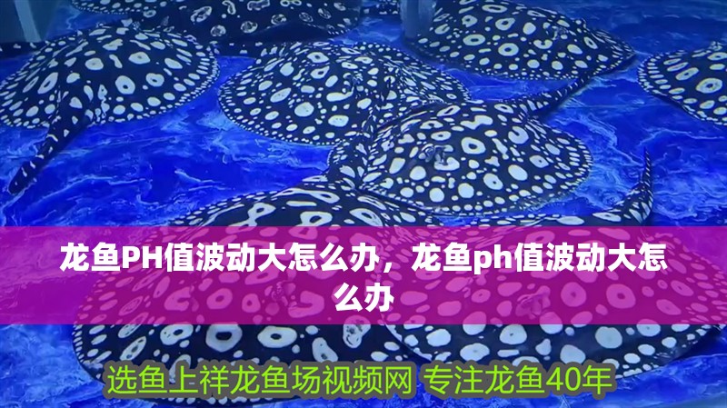 龍魚PH值波動大怎么辦，龍魚ph值波動大怎么辦