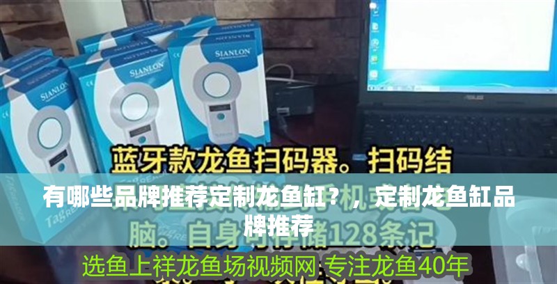 有哪些品牌推薦定制龍魚缸？，定制龍魚缸品牌推薦