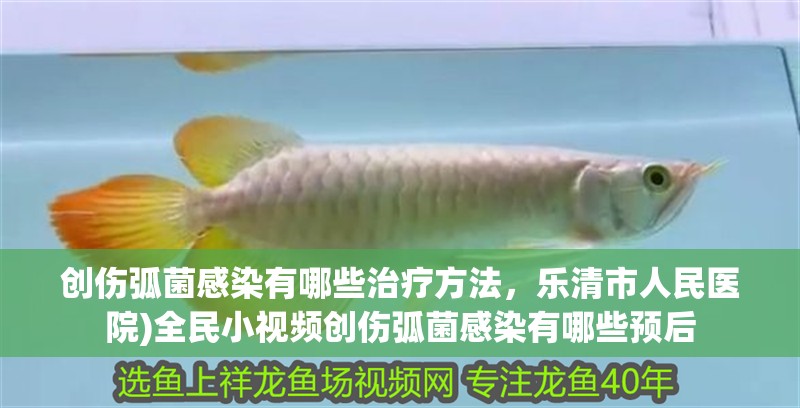 創傷弧菌感染有哪些治療方法，樂清市人民醫院)全民小視頻創傷弧菌感染有哪些預后