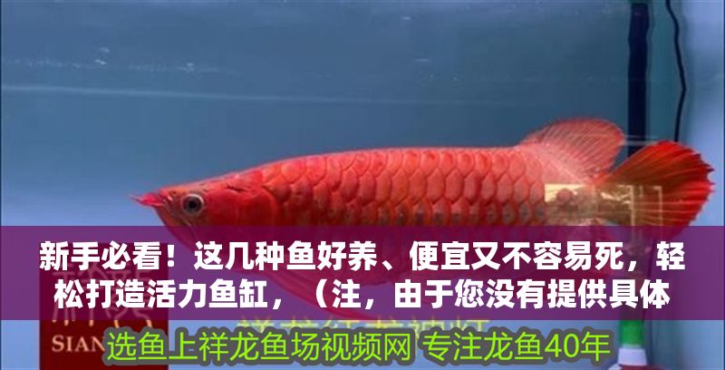 新手必看！這幾種魚好養(yǎng)、便宜又不容易死，輕松打造活力魚缸，（注，由于您沒有提供具體內容，我基于常見養(yǎng)魚需求創(chuàng)作了一個通用標題。若您能提供原文內容，我可生成更精準的標題）