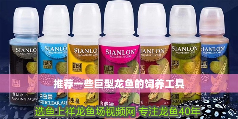 推薦一些巨型龍魚的飼養工具