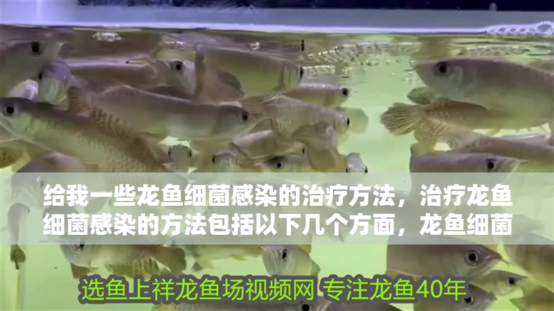 給我一些龍魚細菌感染的治療方法，治療龍魚細菌感染的方法包括以下幾個方面，龍魚細菌感染治療方法