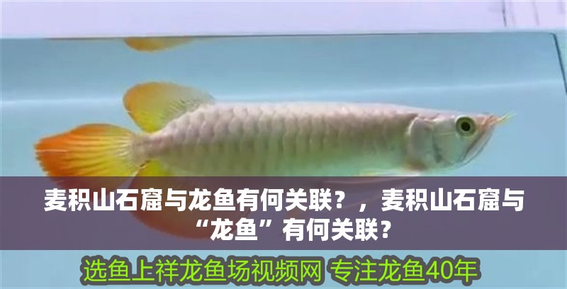 麥積山石窟與龍魚有何關(guān)聯(lián)？，麥積山石窟與“龍魚”有何關(guān)聯(lián)？